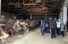 Obisk ekološke kmetije Mahne na Tatrah
